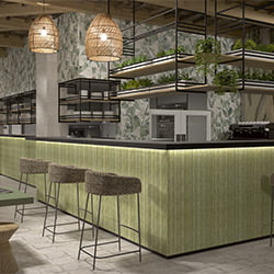 BAMBOO-GREEN-MAINZU.jpg