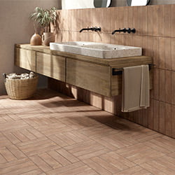 COTTO-TEGUISE-BANYO-MAINZU.jpg
