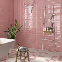 PINK-BISSEL-MAINZU.jpg