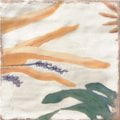 DECOR SONATA