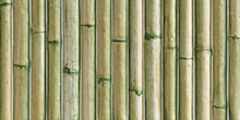 BAMBOO GREEN