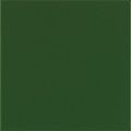VERDE BRILLO