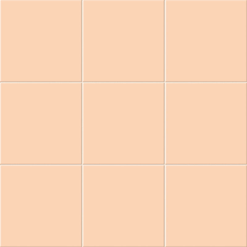 BEIGE_2_BRILLO_20x20-CHROMA.jpg