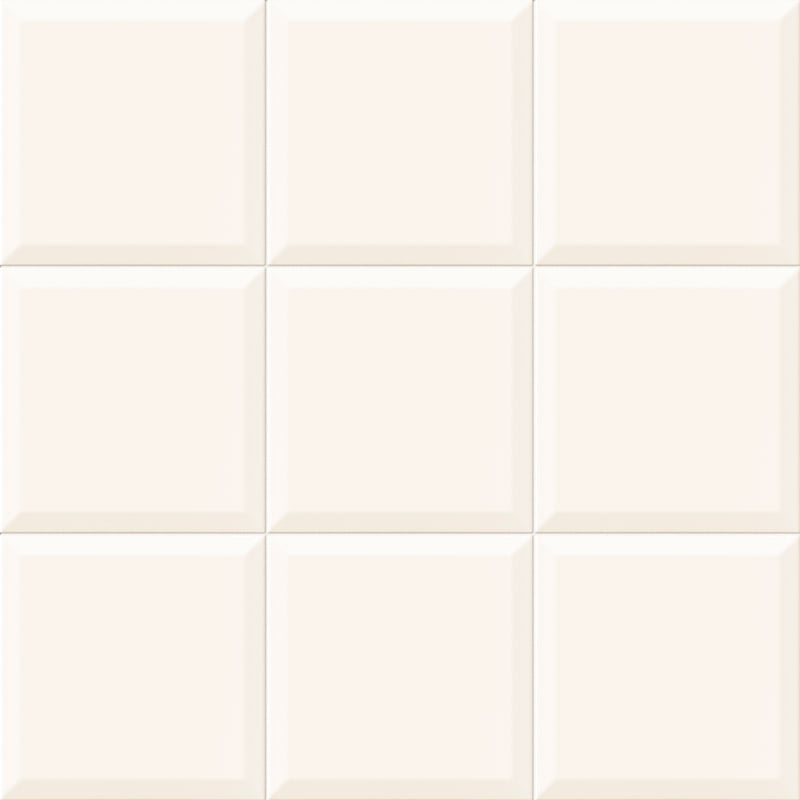 BISELADO_BLANCO_20x20-CHROMA.jpg