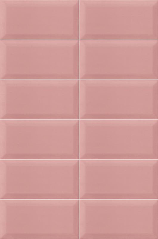 BISSEL-PINK-10x20-MAINZU.jpg