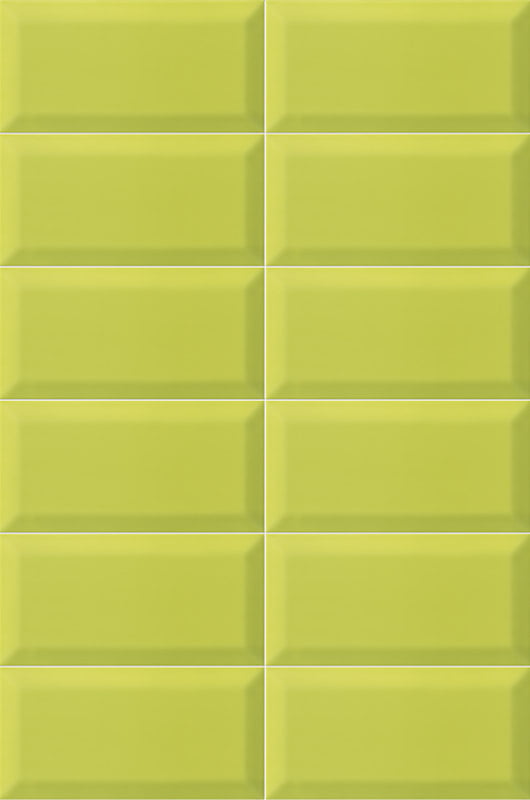 BISSEL-Y-GREEN-10x20-MAINZU.jpg