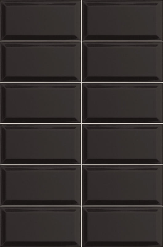 BISSEL_NEGRO_10x20.jpg