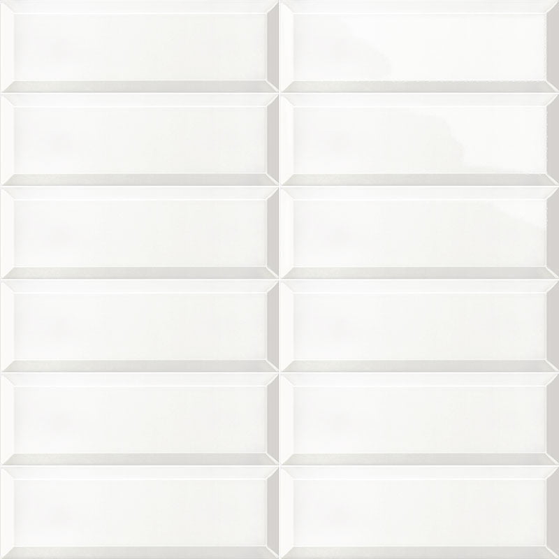 BLANCO-BRILLO-BISSEL-10x30-MAINZU.jpg