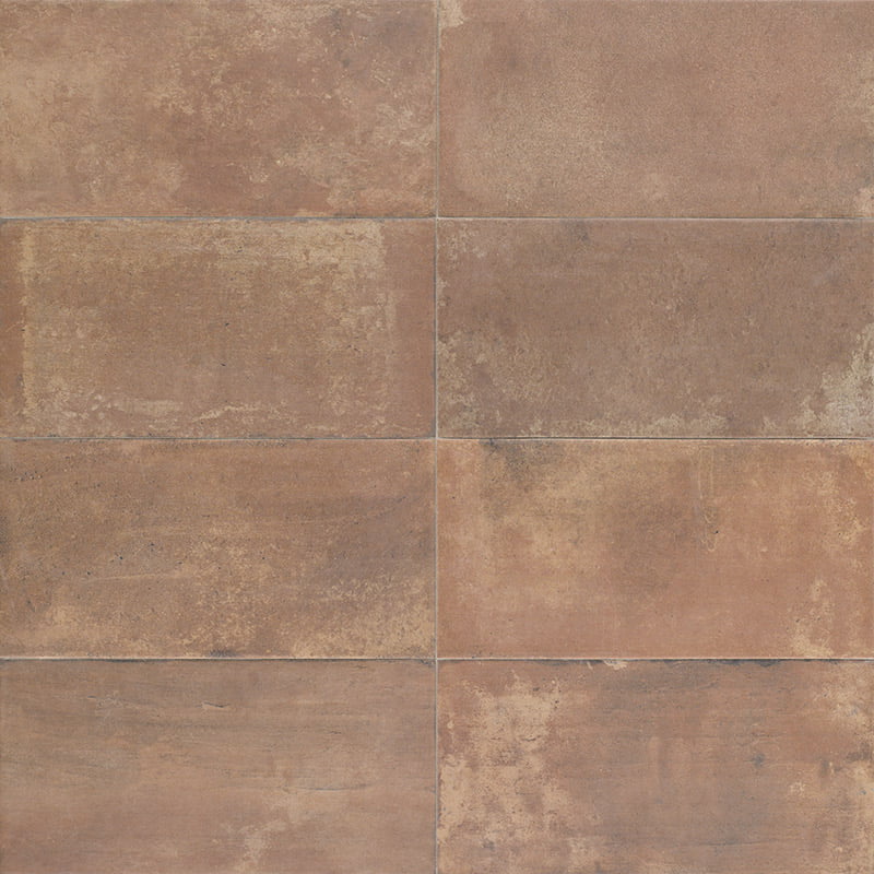 COTTO-TEGUISE-15X30-MAINZU.jpg